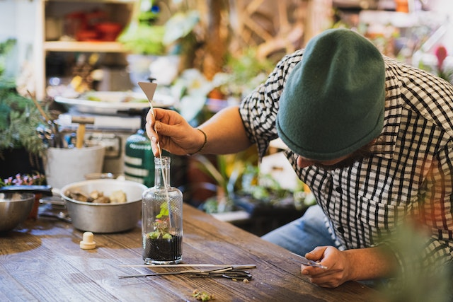 Du bricolage au vert : adoptez un mode de vie ecolo grace a vos talents de bricoleur